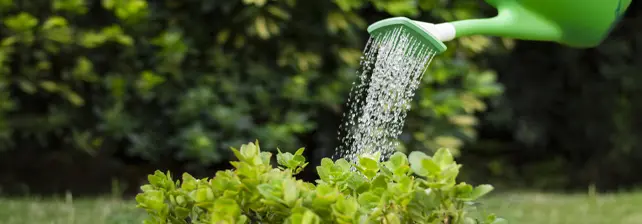 Maestría en Riego y Uso Agropecuario del Agua