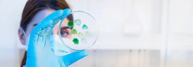 Ciencias Biológicas